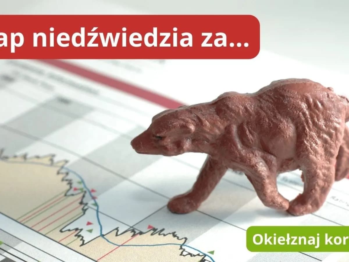 Belgijska giełda: najważniejsze informacje o rynku akcji BEL 20