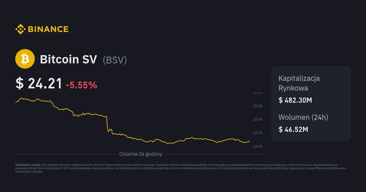 Bitcoin SV: Opinie, Kontrowersje i Analiza Potencjału Inwestycyjnego