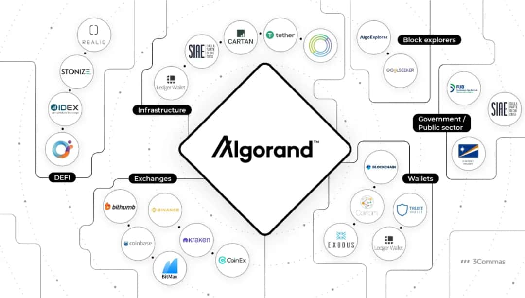 Algo DAO: Innowacyjna Organizacja w Ekosystemie Algorand