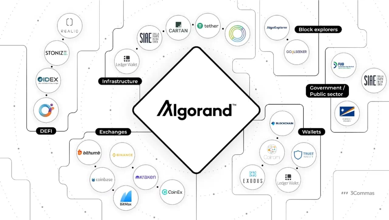 Algo DAO: Innowacyjna Organizacja w Ekosystemie Algorand